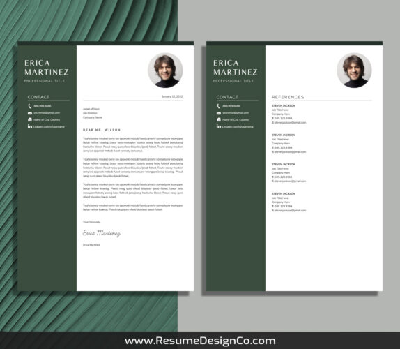 Professional Simple Resume Template MS Word Resume Template Clean