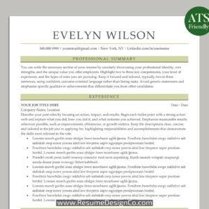 ATS Friendly Resume Template for MS Word, Professional ATS CV Template