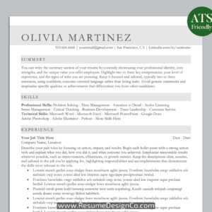 ATS Friendly Resume Template for MS Word, Professional ATS CV Template